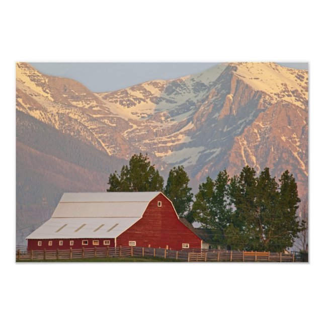 Bright red barn against Mission Mountains in Photo Print (Front)