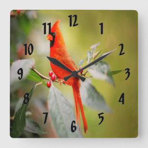 Bright Red Cardinal Square Wall Clock