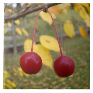 Bright Red Crab Apples Photo Tile