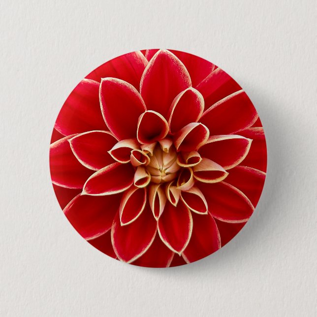 Bright Red Dahlia 6 Cm Round Badge (Front)