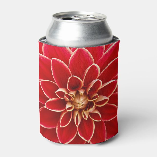 Bright Red Dahlia Flower Close Up Photo Can Cooler (Can Front)