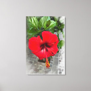 Bright red flower canvas print