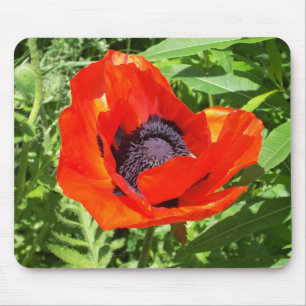 Bright Red Flower On Green Mouse Mat