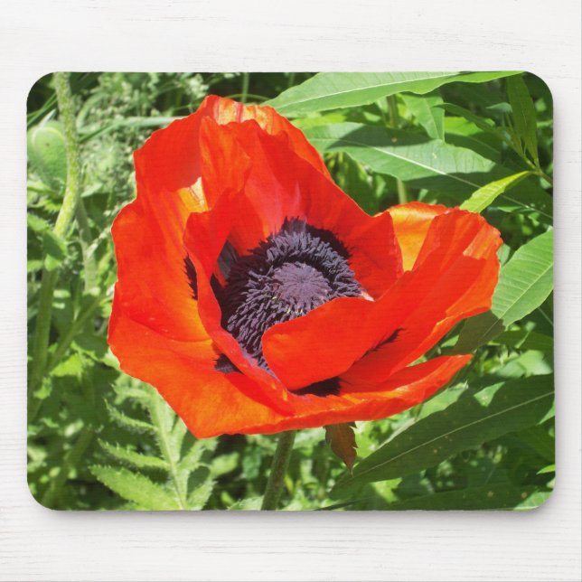 Bright Red Flower On Green Mouse Mat (Front)