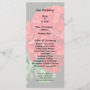 Bright Red Geranium Programme