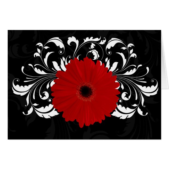 Bright Red Gerbera Daisy on Black (Front Horizontal)