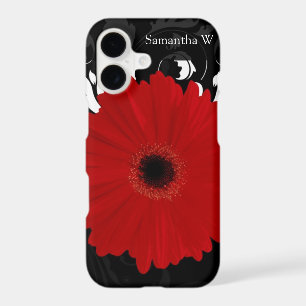 Bright Red Gerbera Daisy on Black