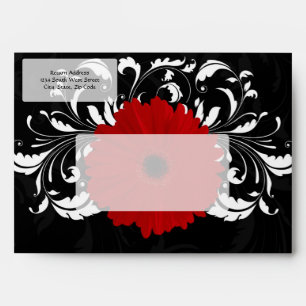 Bright Red Gerbera Daisy on Black Envelopes