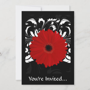 Bright Red Gerbera Daisy on Black Invitation