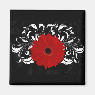 Bright Red Gerbera Daisy on Black Magnet