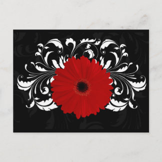 Bright Red Gerbera Daisy on Black Postcard
