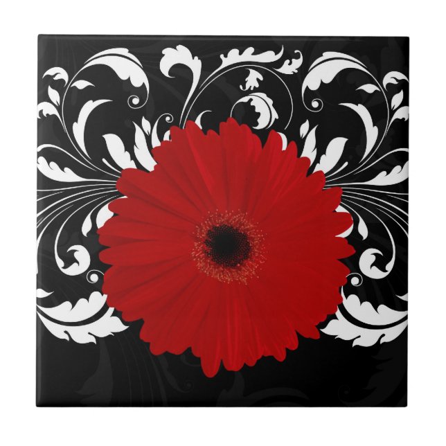 Bright Red Gerbera Daisy on Black Tile (Front)