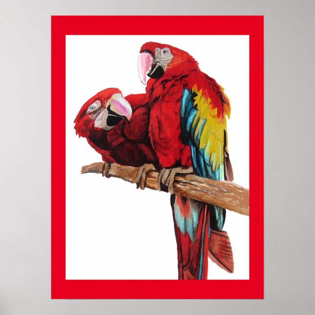 Bright Red Macaw Parrots Parrot Watercolour Poster (Front)