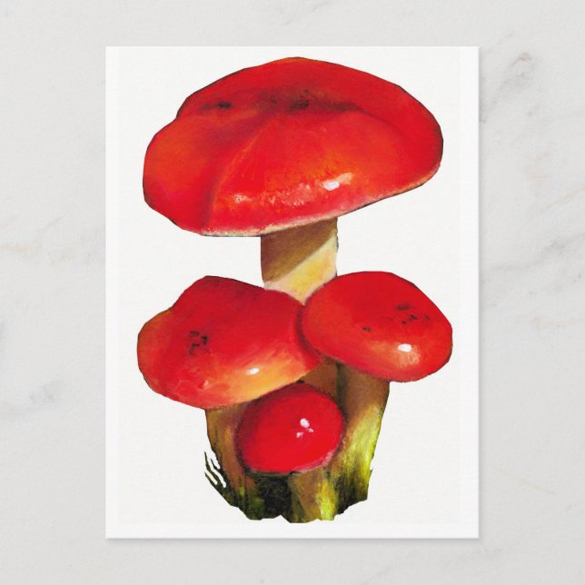 Bright Red Mushrooms: Oil Pastel Art on White Postcard (Front)