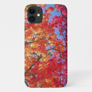 Bright red, orange and yellow Leave of Autumn iPhone 11 Case