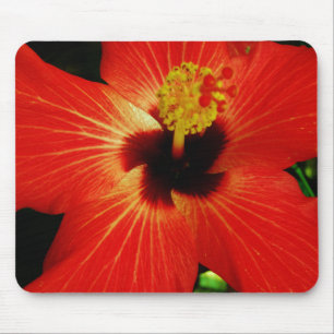 Bright Red Orange Hibiscus Flower Mouse Mat