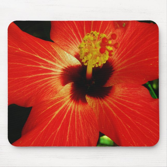 Bright Red Orange  Hibiscus Flower Mouse Mat (Front)
