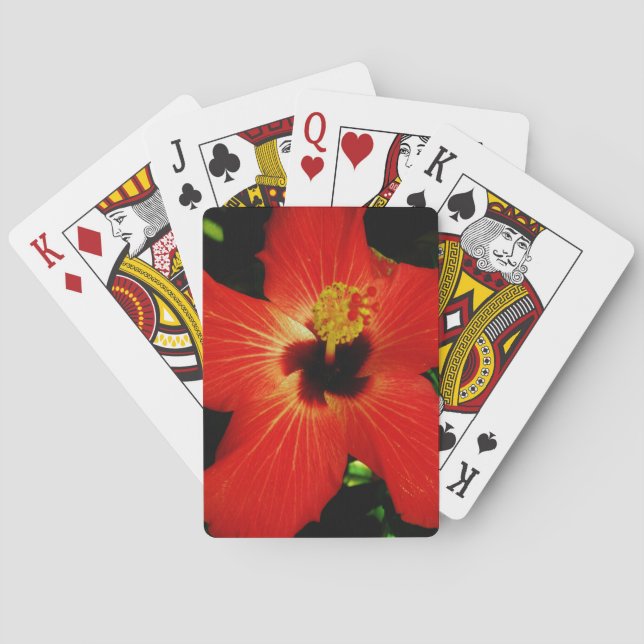 Bright Red Orange  Hibiscus Flower Playing Cards (Back)
