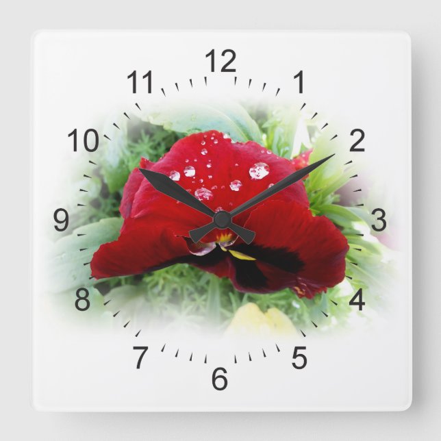 Bright red pansy square wall clock (Front)