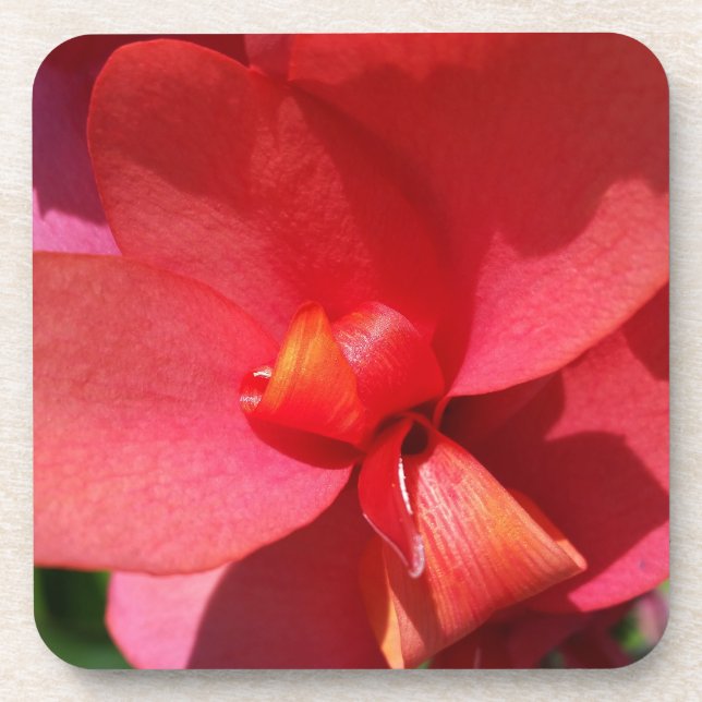 bright red petals coaster (Front)