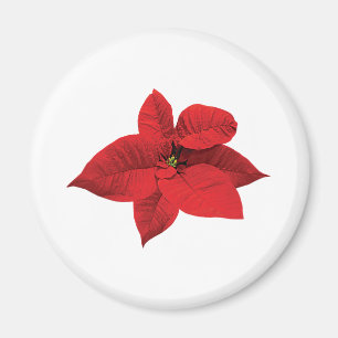 Bright Red Poinsettia Magnet
