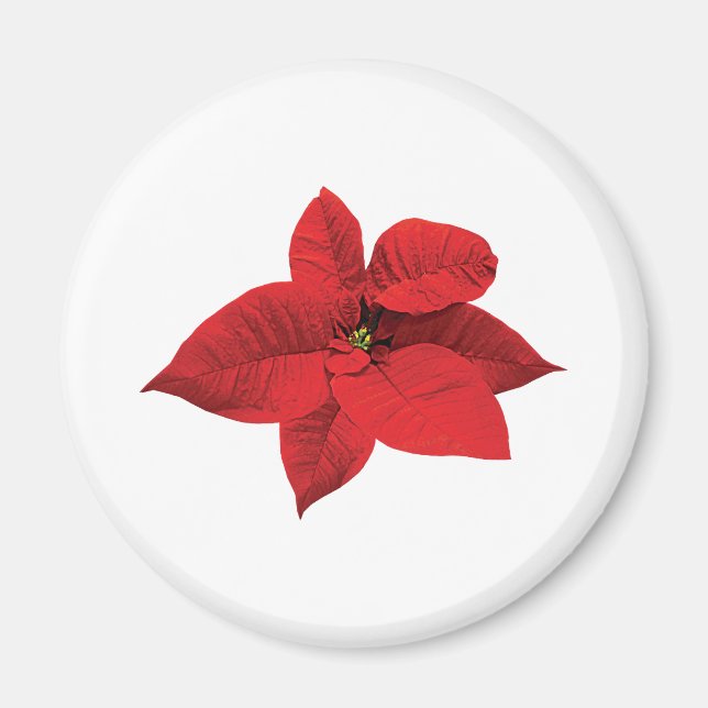Bright Red Poinsettia Magnet (Front)