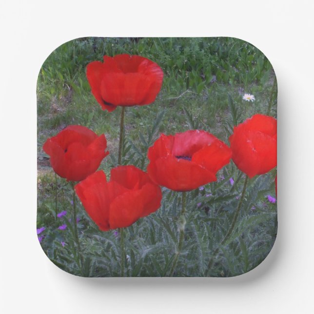 Bright Red Poppies Paper Plate (Front)