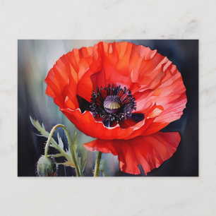 Bright Red Poppy with Dark Centre Postcard