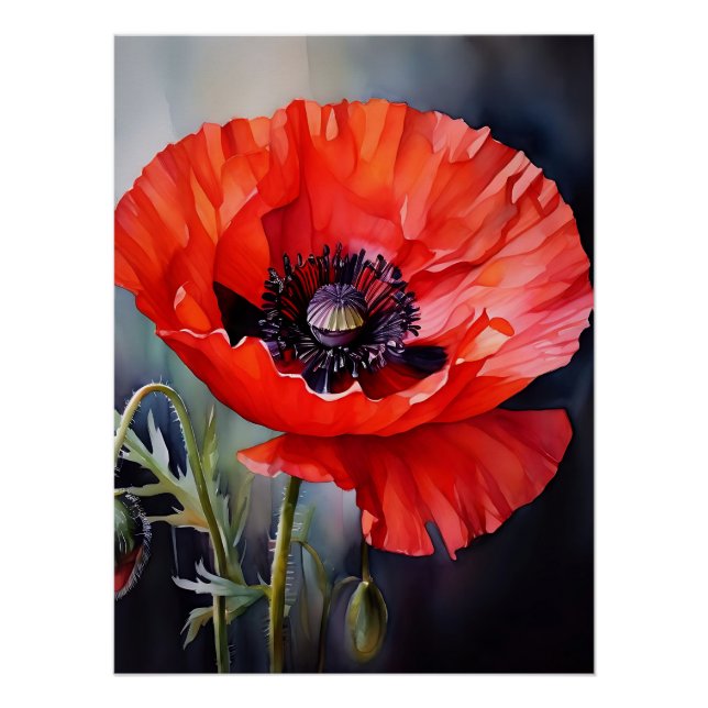 Bright Red Poppy with Dark Centre Poster (Front)
