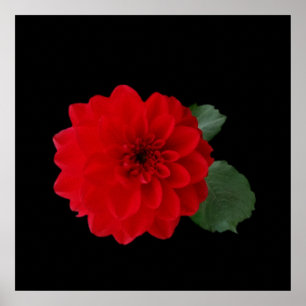 bright red poster