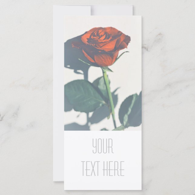 Bright Red Rose Add Your Text Flat Card (Front)