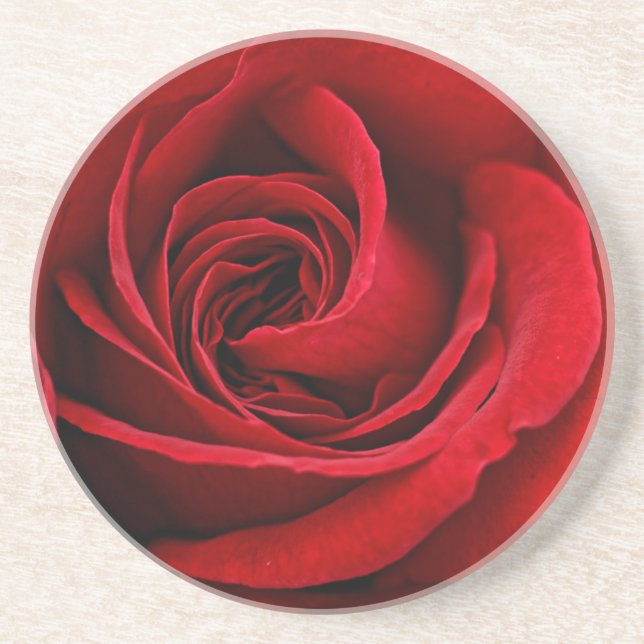 Bright Red Rose Close Up Coaster (Front)