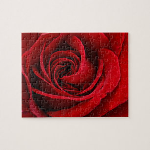 Bright Red Rose Close Up Jigsaw Puzzle