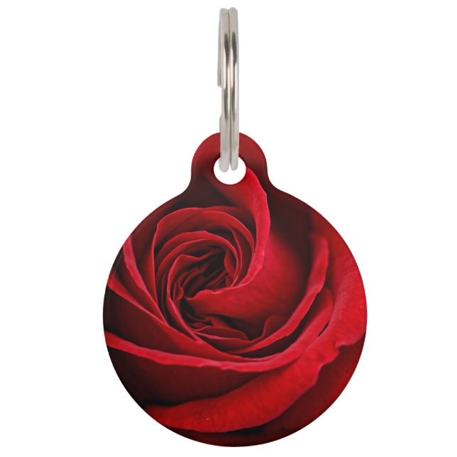 Bright Red Rose Close Up Pet Tag (Front)