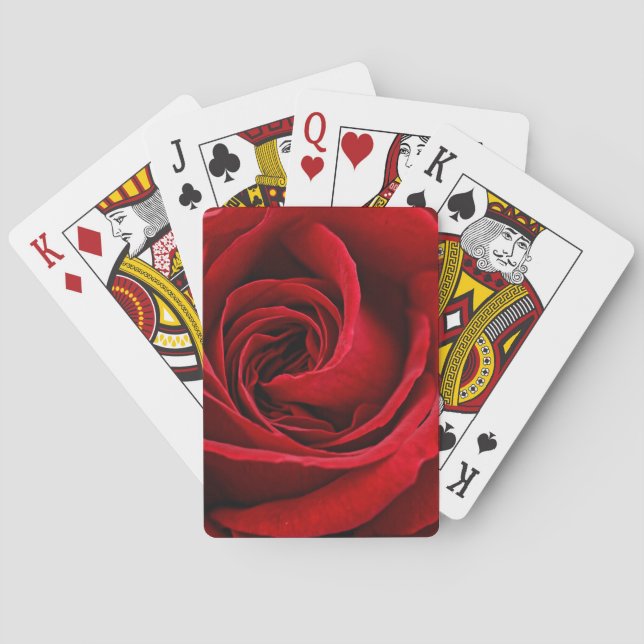 Bright Red Rose Close Up Playing Cards (Back)
