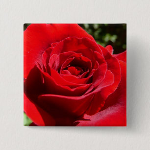 Bright Red Rose Flower Beautiful Floral 15 Cm Square Badge