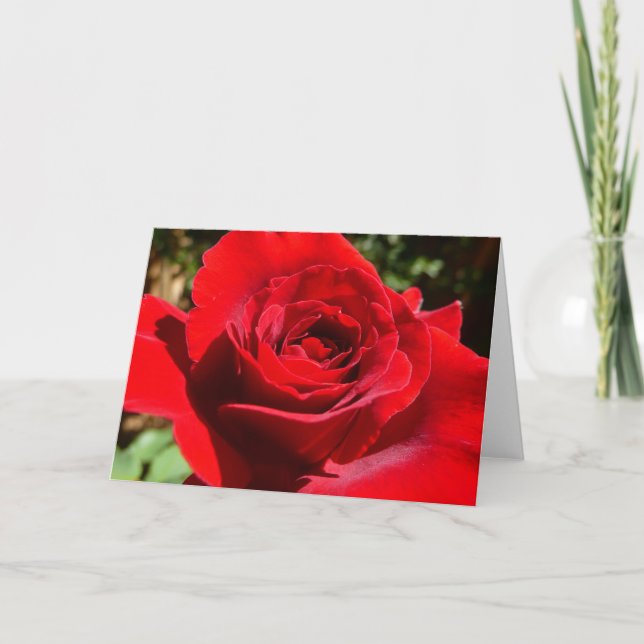 Bright Red Rose Flower Beautiful Floral Card (Front)