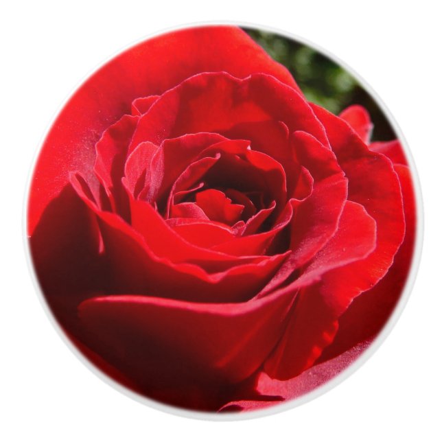 Bright Red Rose Flower Beautiful Floral Ceramic Knob (Front)