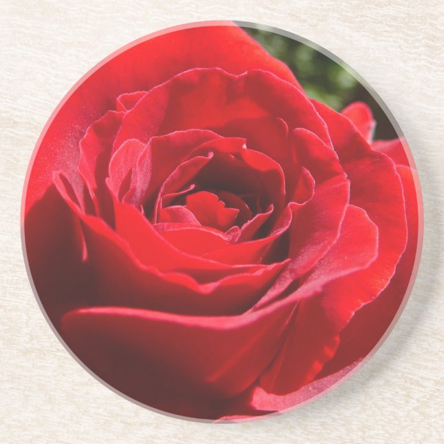 Bright Red Rose Flower Beautiful Floral Coaster (Front)