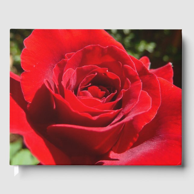 Bright Red Rose Flower Beautiful Floral Guest Book (Front)