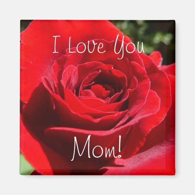 Bright Red Rose Flower Beautiful Floral Magnet (Front)