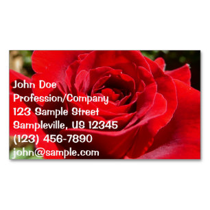 Bright Red Rose Flower Beautiful Floral Magnetic Business Card