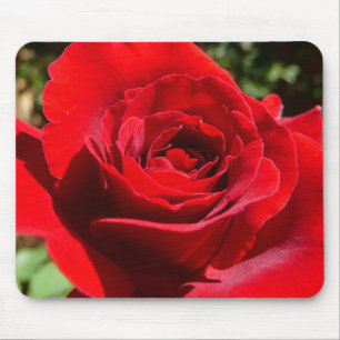 Bright Red Rose Flower Beautiful Floral Mouse Mat