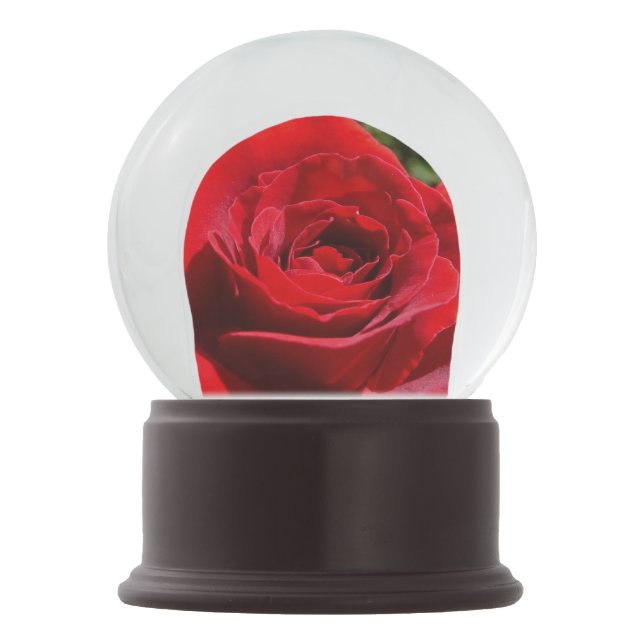 Bright Red Rose Flower Beautiful Floral Snow Globe (Front)