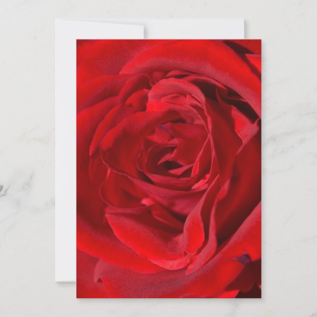Bright Red Rose Invitations (Front)