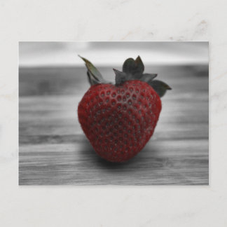 Bright Red Strawberry on Black and White Postcard
