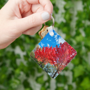 Bright Red Tree Leaves In Autumn Key Ring