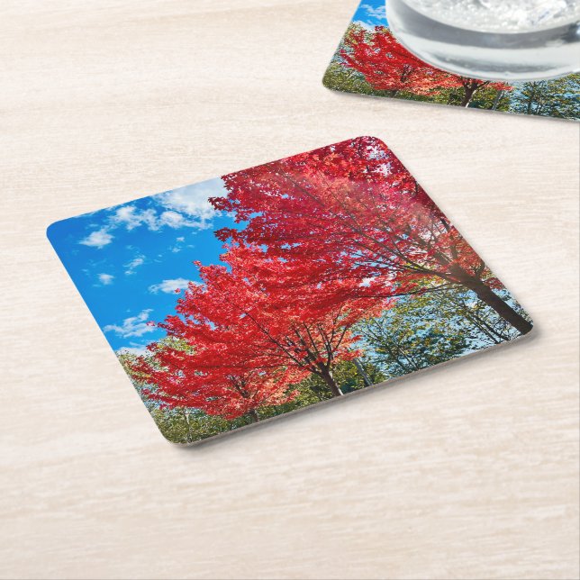 Bright Red Tree Leaves In Autumn Square Paper Coaster (Angled)