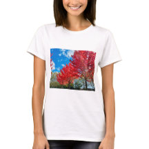 Bright Red Tree Leaves In Autumn