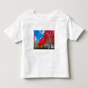 Bright Red Tree Leaves In Autumn Toddler T-Shirt